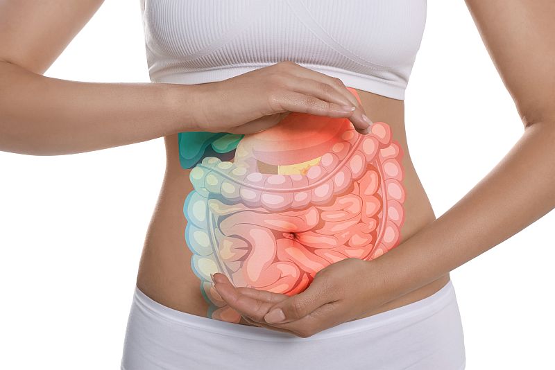 Terapia wisceralna Kraków Terapia wisceralna Kraków